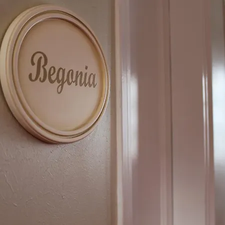 Green House Hotel 3* Μουδανιά