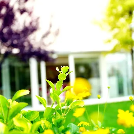 Green House Hotel 3*