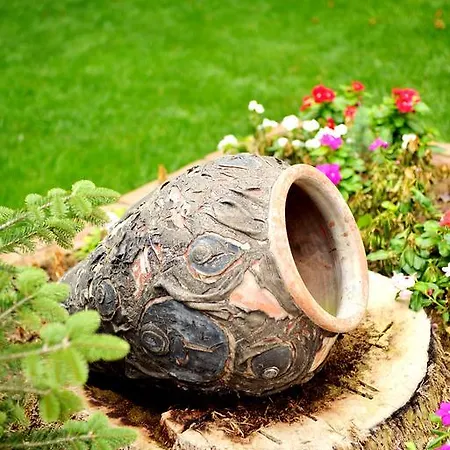 Green House Hotel Bed & Breakfast Mudanya